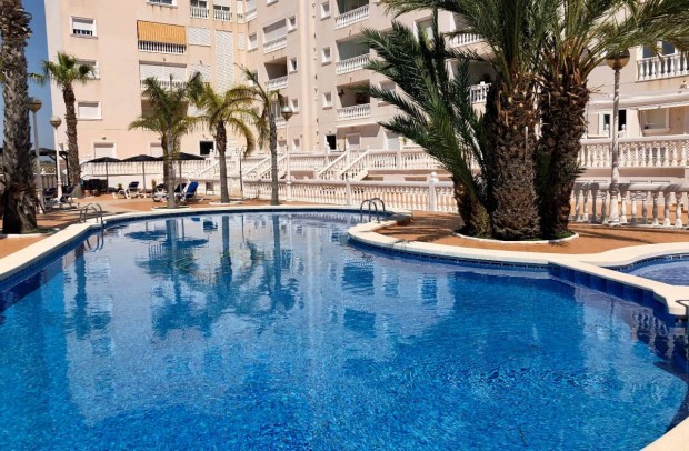 Apartment - Long time Rental - Guardamar del Segura - 26-39881