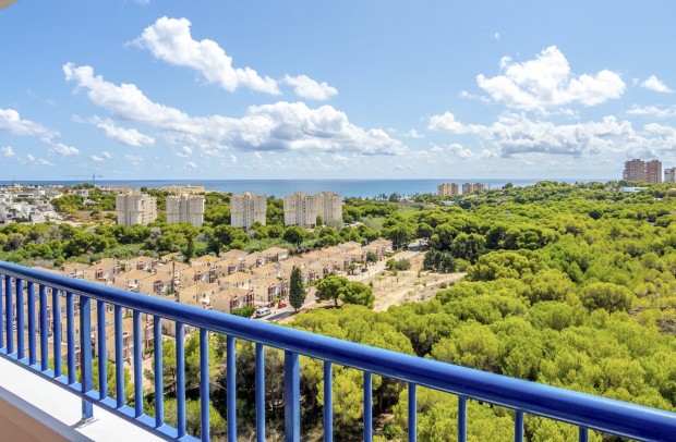 Apartment - Resale - Orihuela Costa - Campoamor