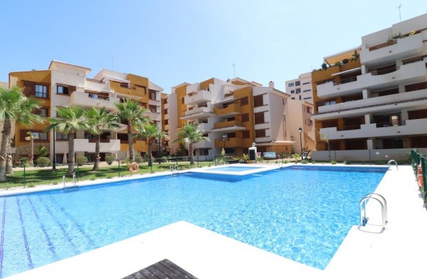 Apartment - Resale - Torrevieja - 43-31932