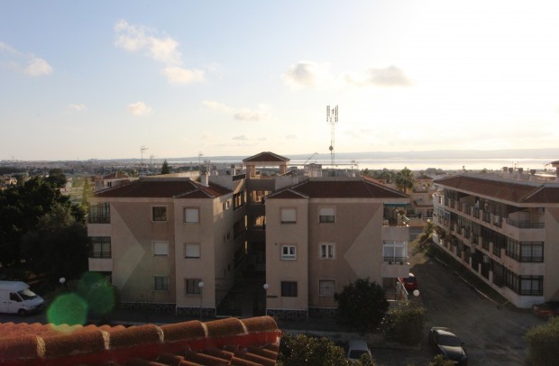 Apartment - Resale - Torrevieja - Torrevieja