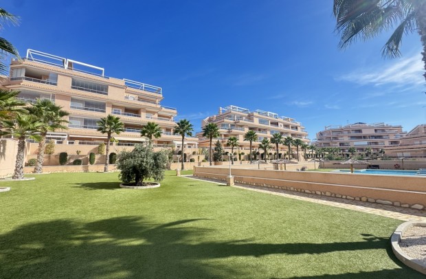 Apartment - Resale - Villamartin - Villamartín