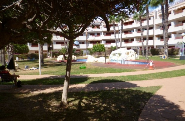 Apartment - Reventa - Playa Flamenca - Playa Flamenca