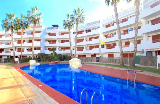 Apartment - Reventa - Playa Flamenca - Playa Flamenca