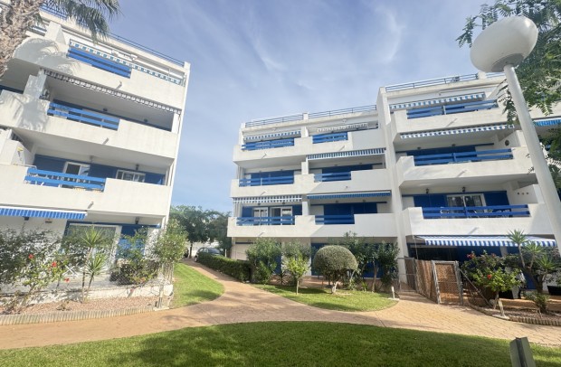 Apartment - Revente - Playa Flamenca - Playa Flamenca
