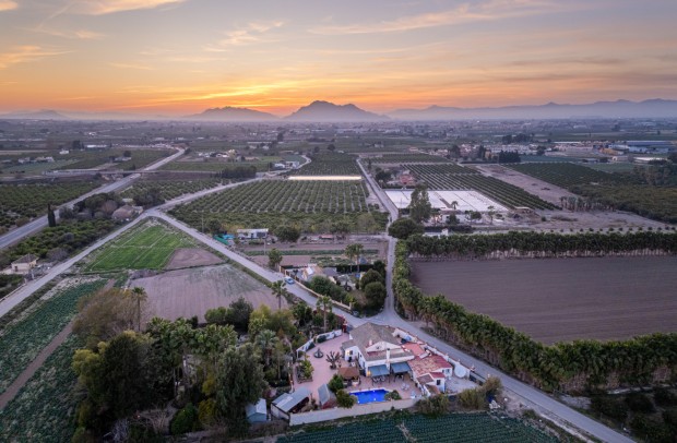 Country Property - Resale - Daya Nueva - 30-82571