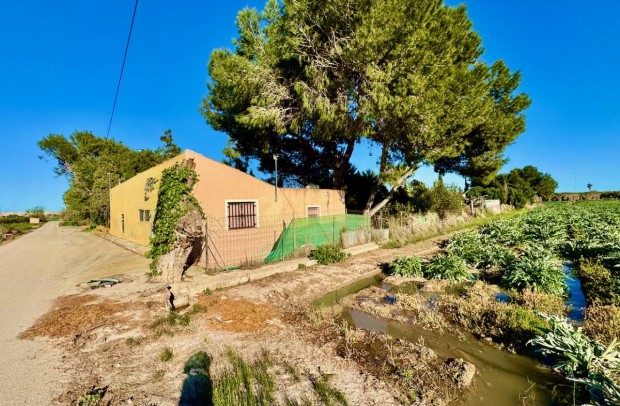 Country Property - Resale - Guardamar del Segura - Guardamar del Segura