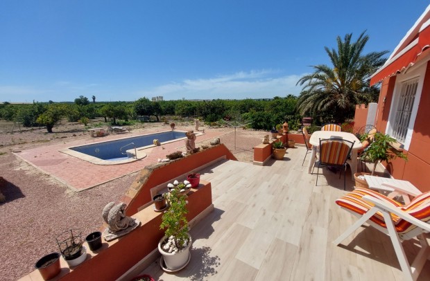 Country Property - Resale - San Miguel de Salinas - San Miguel de Salinas