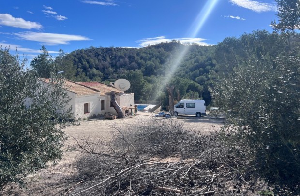 Country Property - Resale - Torremendo - Torremendo