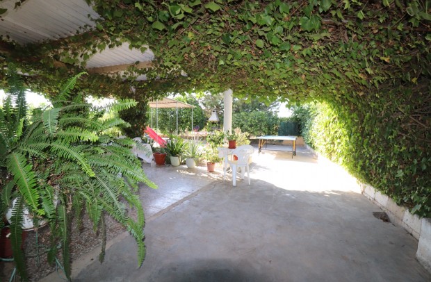 Country Property - Revente - Albatera - 36-11186