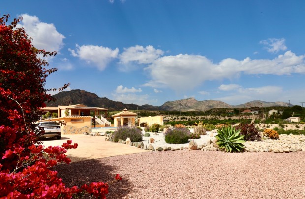 Country Property - Revente - Albatera - Albatera