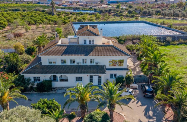 Country Property - Revente - Los Montesinos - Los Montesinos