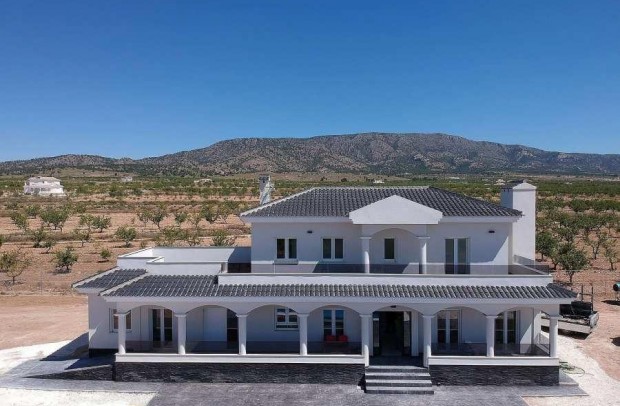 Detached House / Villa - New Build - Pinoso - Camino Del Prado