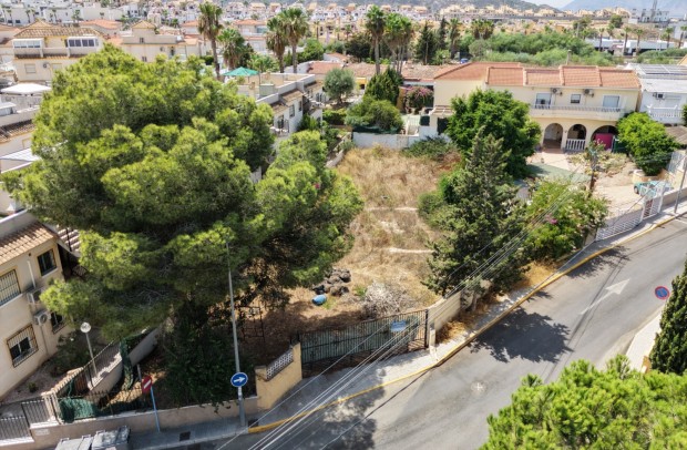 Plot - Revente - Algorfa - Montemar