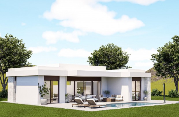 Villa Detached - Nouvelle construction - Pinoso - Lel