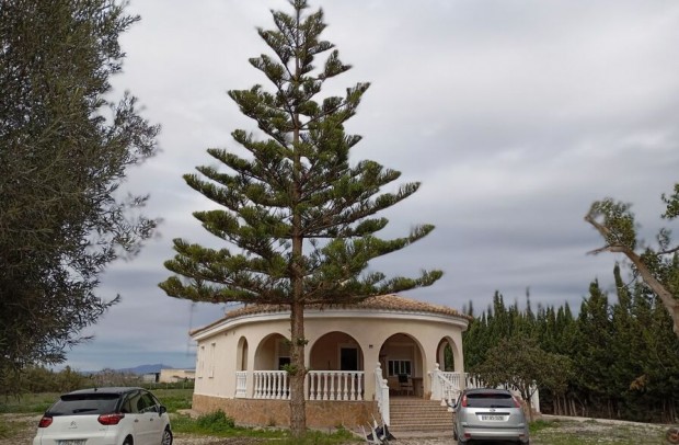 Villa Detached - Resale - Daya Vieja - Daya Vieja