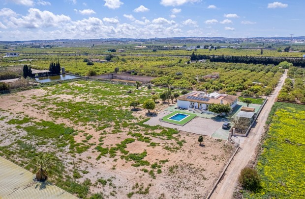 Villa Detached - Resale - Los Montesinos - 59-81240