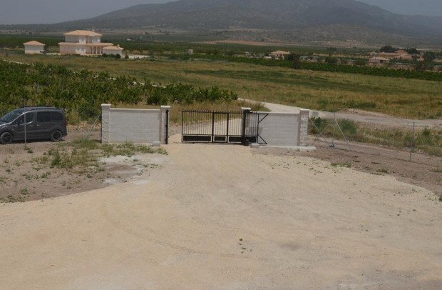 Nueva construcción  - Detached House / Villa - Pinoso - Camino Del Prado