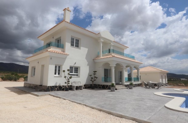 Nouvelle construction - Detached House / Villa - Pinoso - Camino Del Prado