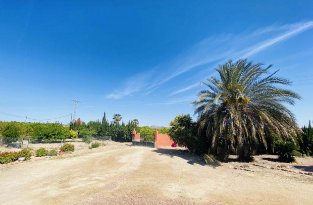 Resale - Country Property - San Miguel de Salinas