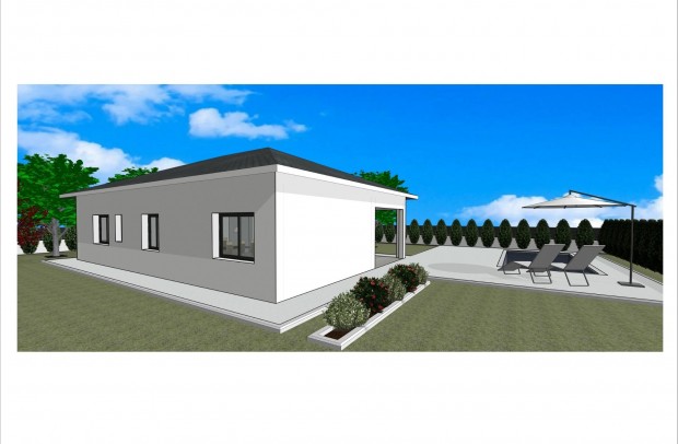 Nouvelle construction - Detached House / Villa - Pinoso - Lel