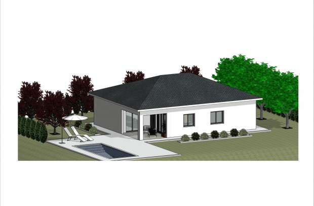 Nouvelle construction - Detached House / Villa - Pinoso - Lel