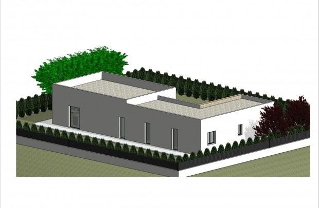 Nueva construcción  - Detached House / Villa - Pinoso - Lel