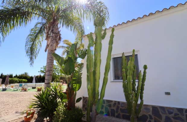 Reventa - Country Property - Dolores