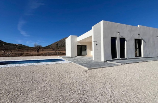 Nouvelle construction - Detached House / Villa - Jumilla - Torre del Rico