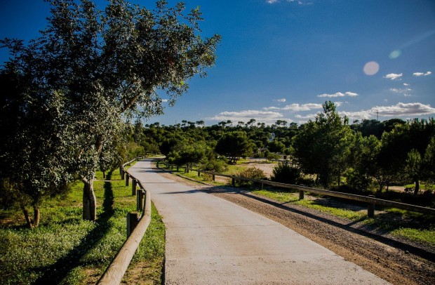 Nouvelle construction - Detached House / Villa - Ciudad Quesada - Doña Pena