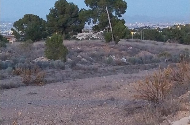 Nueva construcción  - Adosado - Sangonera la Verde - Torre Guil