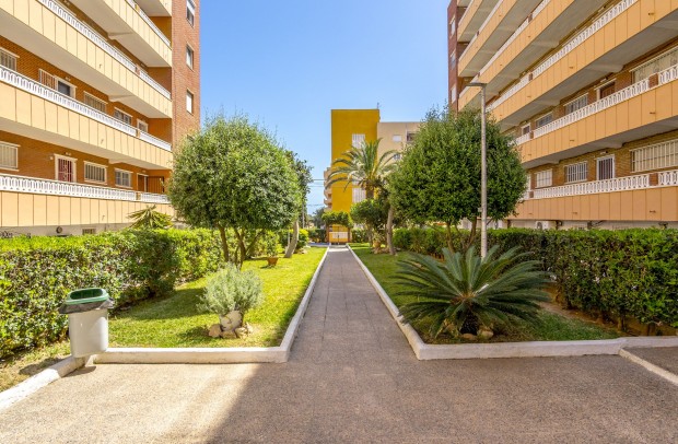 Resale - Apartment - Punta Prima