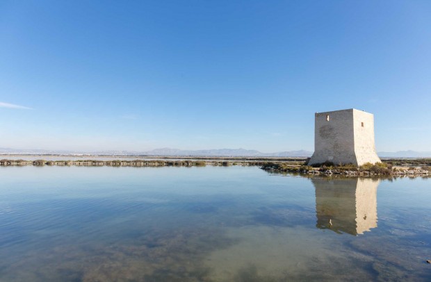 Nueva construcción  - Apartment - Santa Pola - Eroski