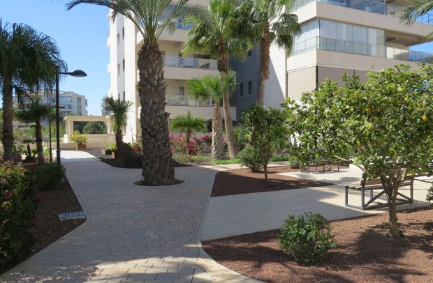 Reventa - Apartment - Orihuela Costa - Villamartín