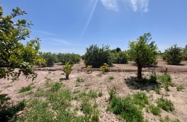 Resale - Country Property - San Miguel de Salinas