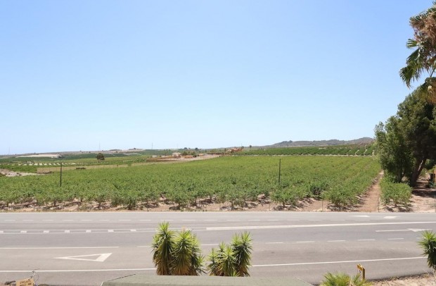 Resale - Apartment - San Miguel de Salinas - LO RUFETE