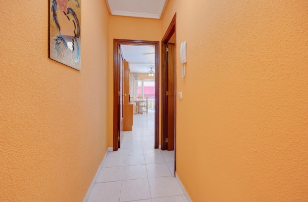 Reventa - Apartment - Torrevieja - El molino