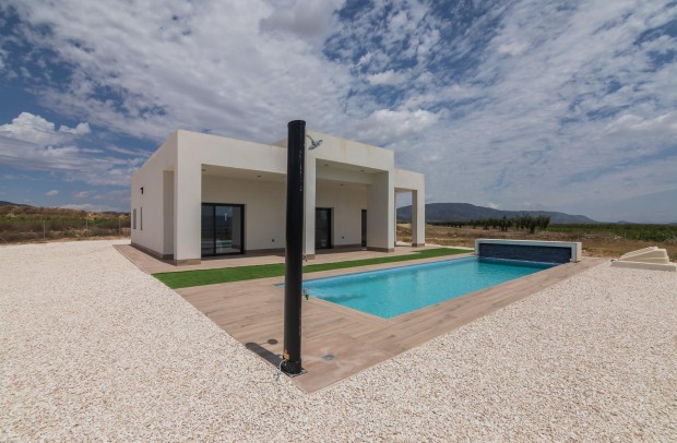 Nouvelle construction - Detached House / Villa - Pinoso - Campo