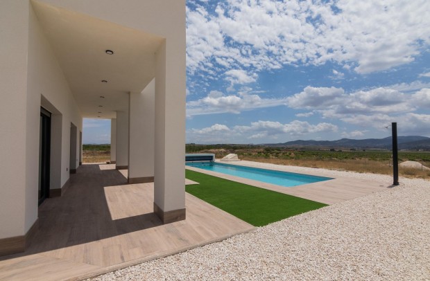 Nouvelle construction - Detached House / Villa - Pinoso - Campo