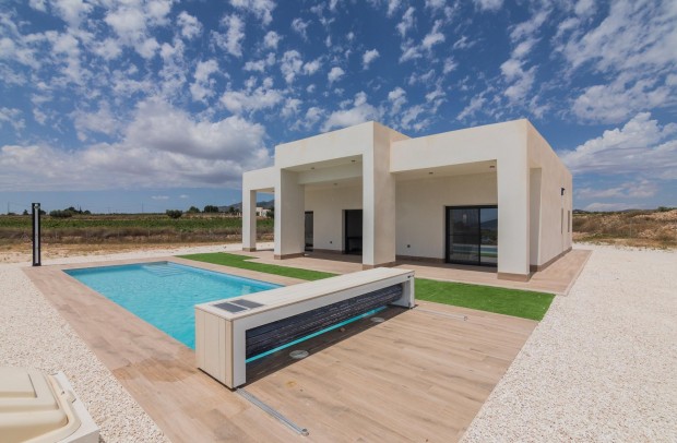 Nouvelle construction - Detached House / Villa - Pinoso - Campo