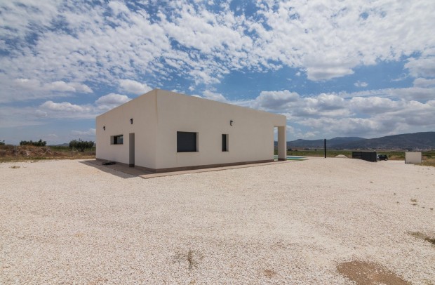 Nouvelle construction - Detached House / Villa - Pinoso - Campo