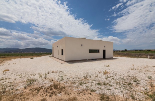 Nouvelle construction - Detached House / Villa - Pinoso - Campo