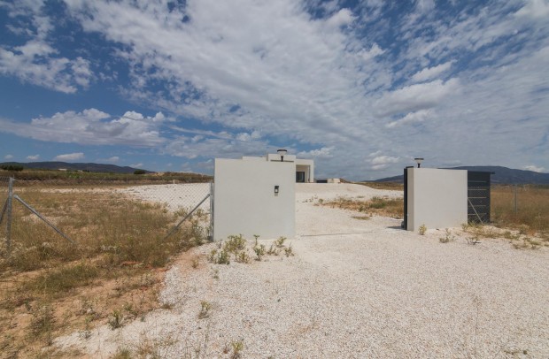 New Build - Detached House / Villa - Pinoso - Campo