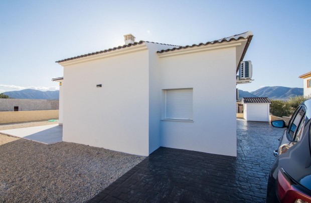 Nouvelle construction - Detached House / Villa - Pinoso - Campo