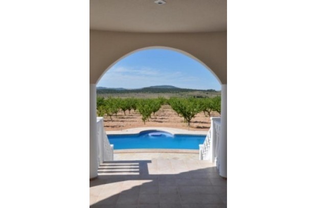 New Build - Detached House / Villa - Pinoso - Campo