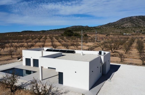 Nouvelle construction - Detached House / Villa - Pinoso - Campo