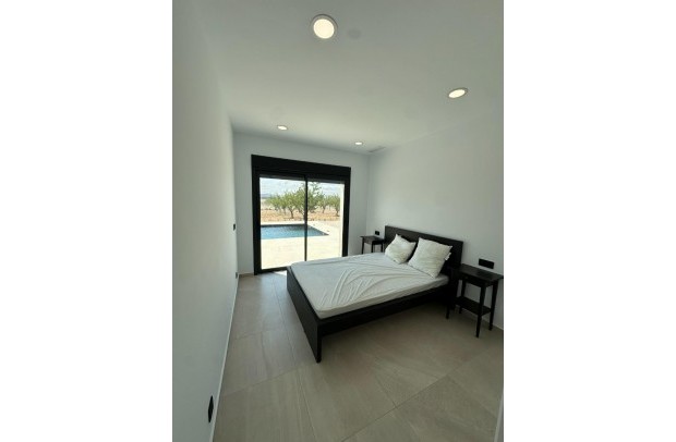 Nouvelle construction - Detached House / Villa - Pinoso - Campo