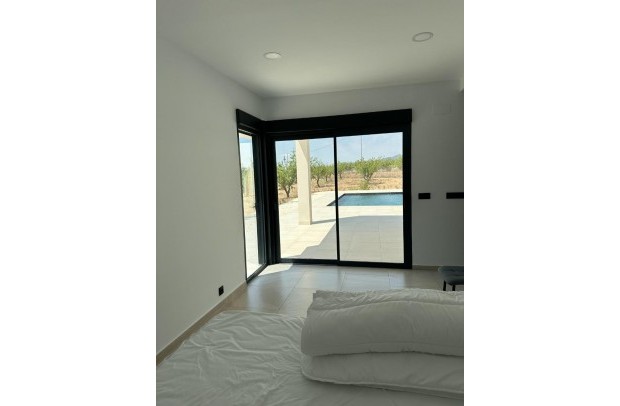 Nouvelle construction - Detached House / Villa - Pinoso - Campo