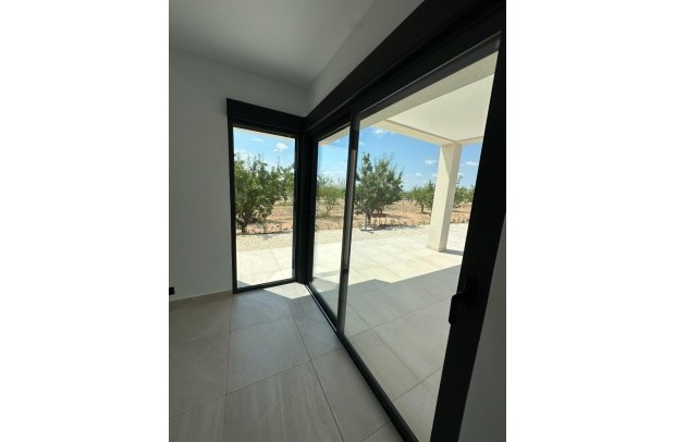 Nouvelle construction - Detached House / Villa - Pinoso - Campo