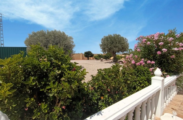 Reventa - Country Property - Catral