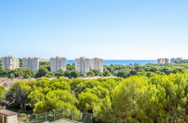 Revente - Apartment - Orihuela Costa - Campoamor